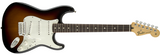 Fender Standard Stratocaster Brown Sunburst PF <span>0144600532</span>