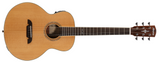 Alvarez LJ60E Little Jumbo Electro Acoustic Travel Guitar