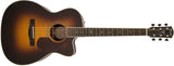 Fender PM-3 Paramount Series Deluxe Triple 0 Vintage Sunburst <span>0960291203</span>